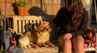 These Loving Pets Are Waiting For Their Dream Homes