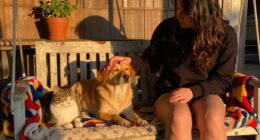 These Loving Pets Are Waiting For Their Dream Homes