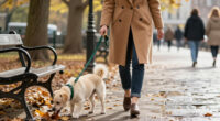 10 Best Luxury Pet Accessories for 2026