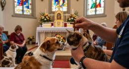 Annual Blessing Of The Pets At St. Raphael Church Brings Pet Community Together
