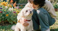 Fall Head Over Heels For Romeo The Sweetheart