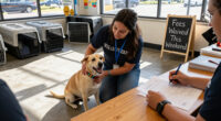 Fees Waived This Weekend At 'Home Is Calling' Adoption Event At IACS