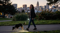 Mountain Lion Sighting In San Francisco's Panhandle Neighborhood Prompts Alert To Residents - Kcra.com