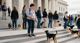 Pet Night On Capitol Hill Unites Lawmakers Behind Universal Love Of Pets