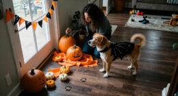14 Best Halloween Pet Decor for a Spooky Home in 2027