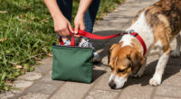 14 Best Pet Products for Everyday Care and Cleanup in 2027