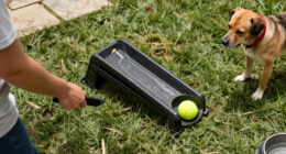 15 Best Automatic Dog Ball Launchers for Independent Play in 2027