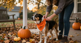 15 Best Dog Halloween Bandanas for Festive, Comfortable Wear in 2027