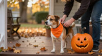 15 Best Dog Halloween Bandanas for Spooky Style in 2027