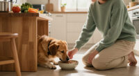 15 Best Humane Pet Foods for 2027