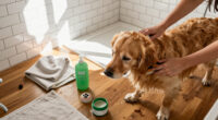 8 Best Pet Beauty Products for Easier At-Home Grooming in 2027