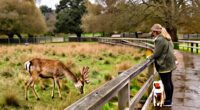 Yorkshire Pet Search Trends: A Look At Wildlife Park Interest