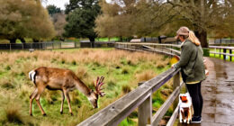 Yorkshire Pet Search Trends: A Look At Wildlife Park Interest